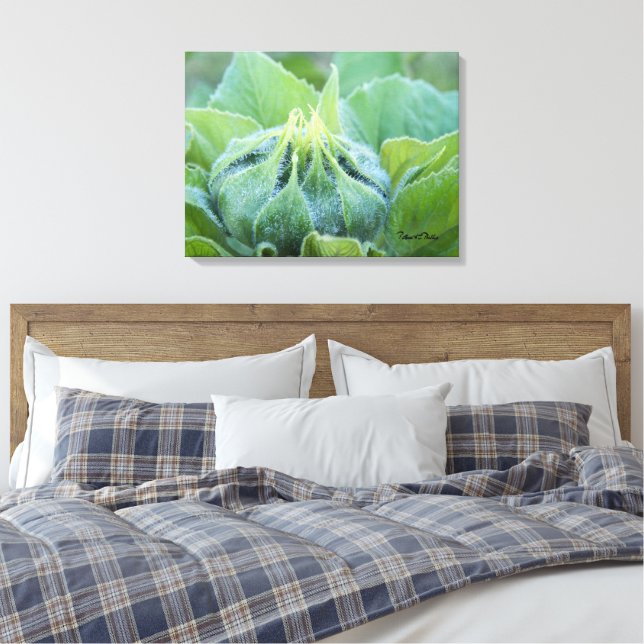 Toile Boue De Tournesol Humide Agrandir la photo (Insitu(Chambre))