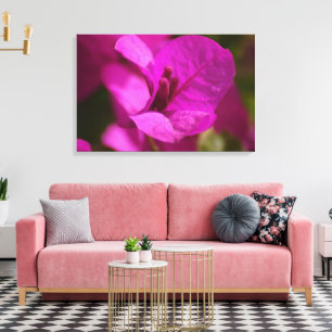 Toile Bougainvillea Beauté Stretch Canvas Imprimer