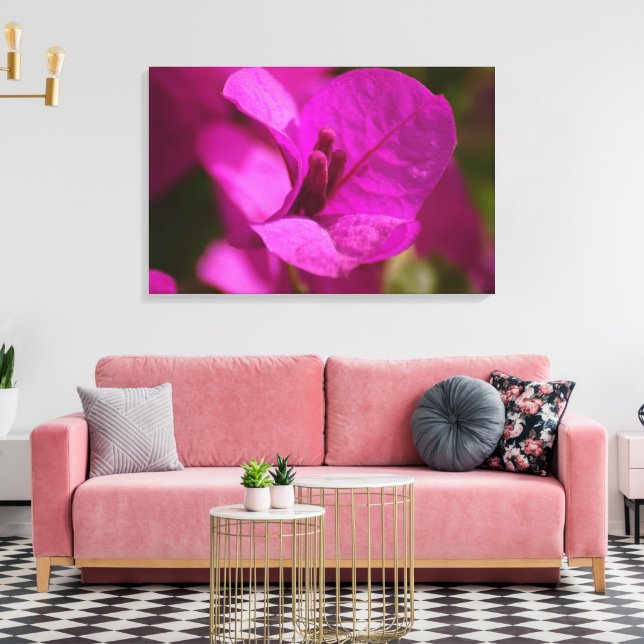 Toile Bougainvillea Beauté Stretch Canvas Imprimer (Insitu(Salon))