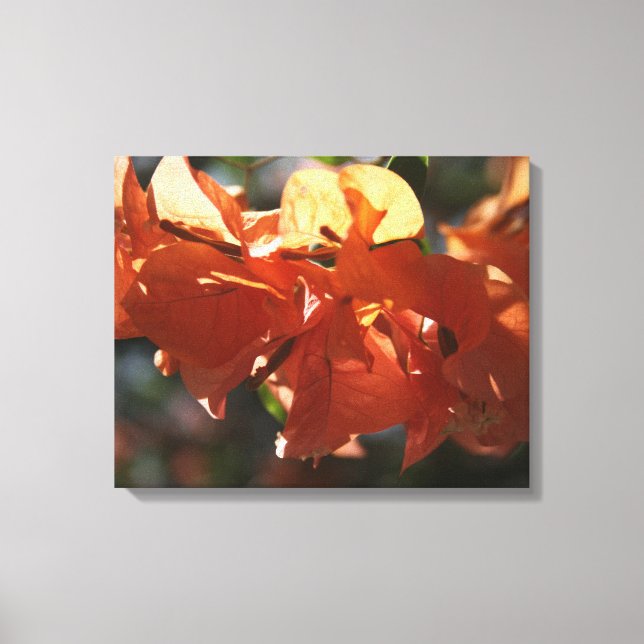 Toile Bougainvilliers (Peach Closeup) (Recto)