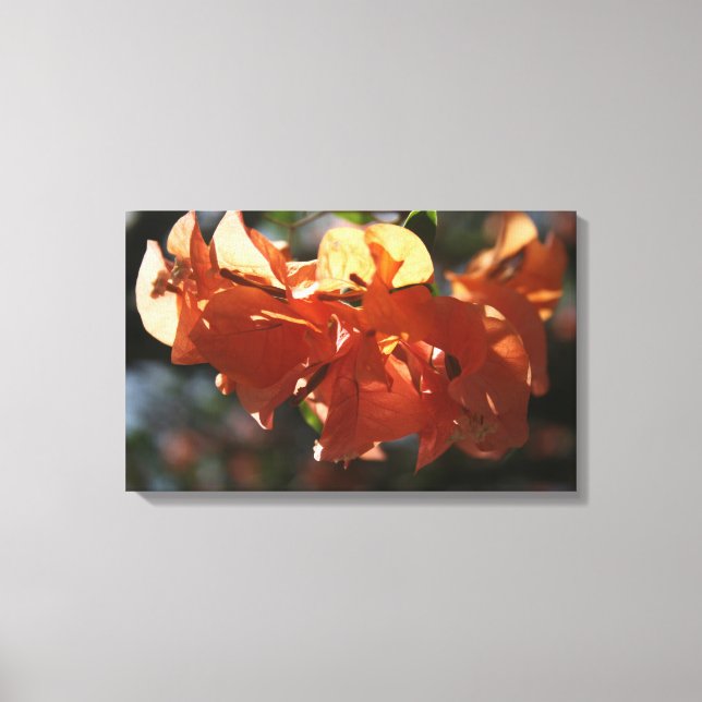 Toile Bougainvilliers (Peach Closeup) (Recto)