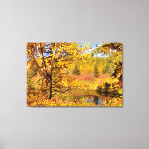Toile Bouleau d'automne