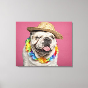 Toile Bouledogue anglais (18 mois) portant une paille