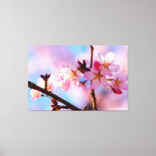 Toile Bouquet de fleurs de sakura dans l'ombre d'un arbr