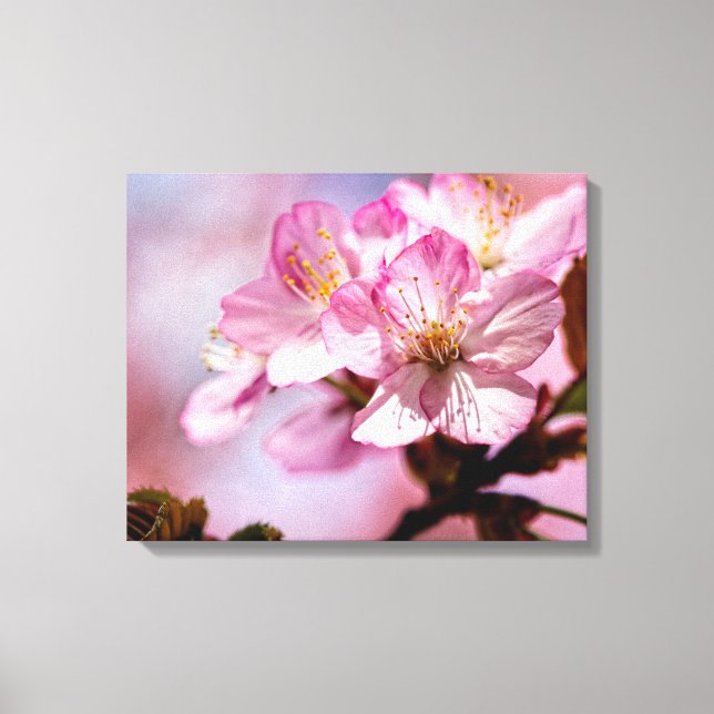 Toile Bouquet de fleurs de sakura époustouflantes de cou (Recto)