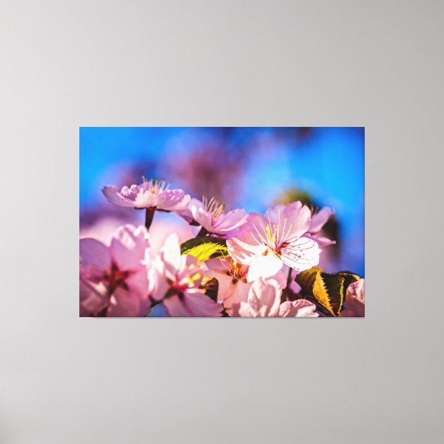 Toile Bouquet De Fleurs Sakura (Recto)