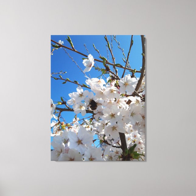 Toile Bourdon sur la floraison de cerisier sauvage (Recto)