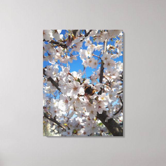 Toile Bourdon sur la floraison de cerisier sauvage (Recto)