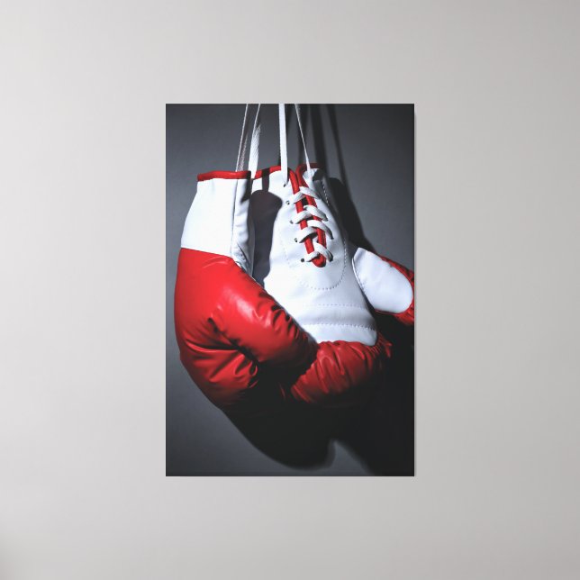 Toile Boxing gloves  (Recto)
