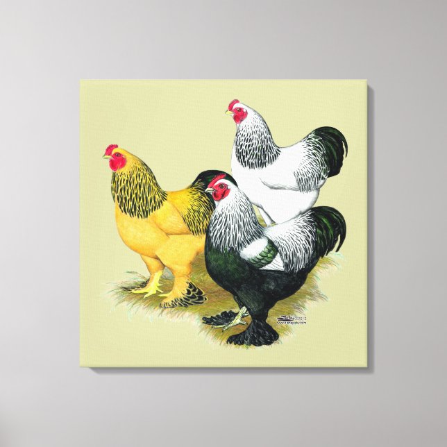 Toile Brahmas Three Roosters (Recto)