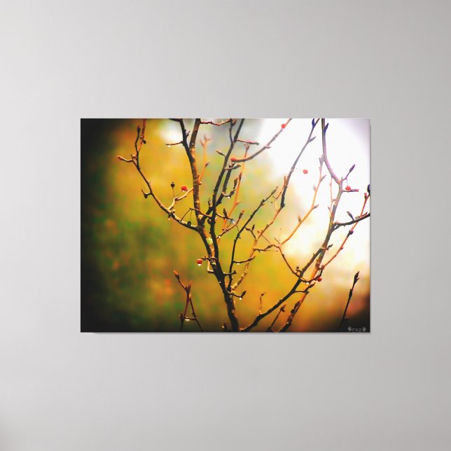 Toile Branches d'arbre nues dans la brume (Recto)