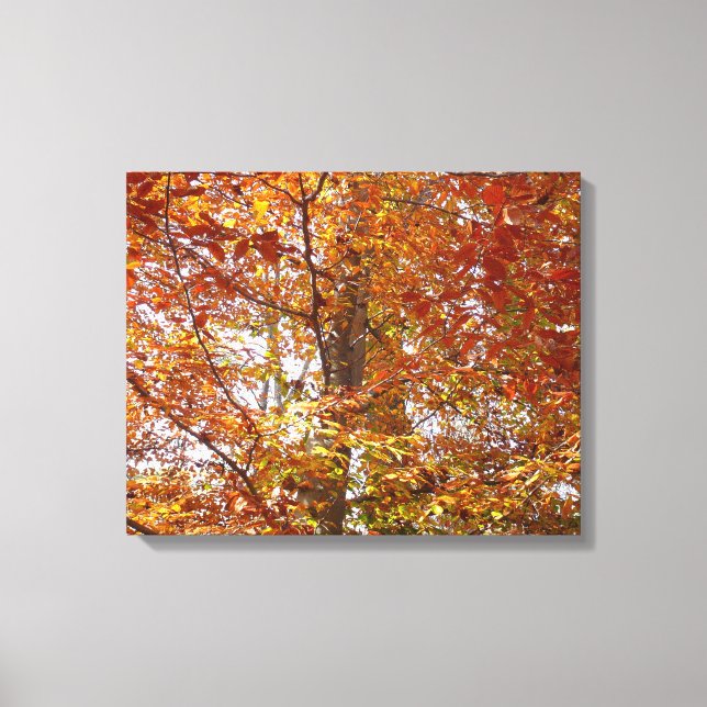 Toile Branches de feuilles orange Automne Nature (Recto)