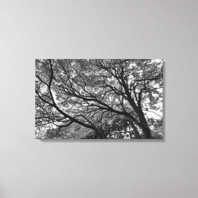 Toile Branches et Feuilles II (Recto)