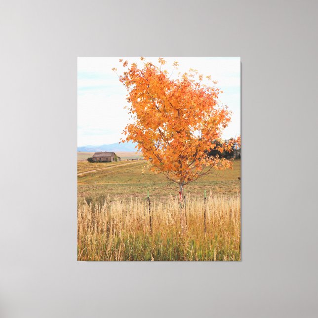 Toile Bright October  (Recto)