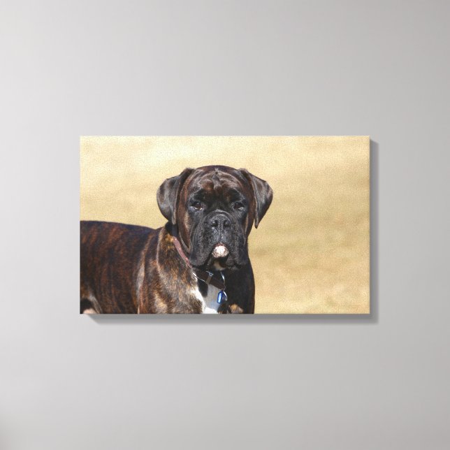 Toile Brindle Boxer Chien debout (Recto)