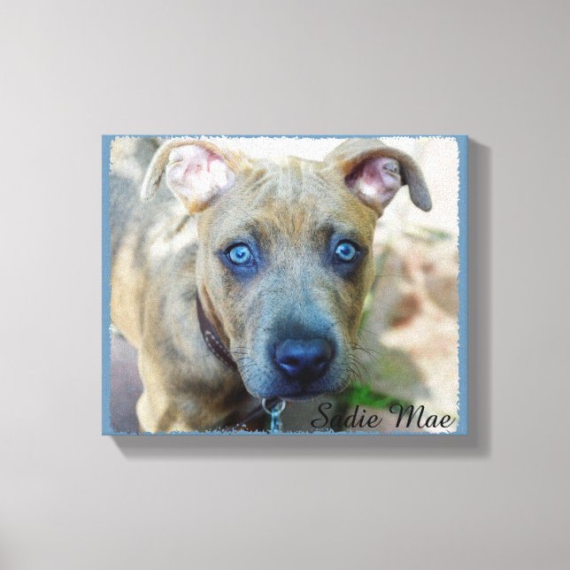 Toile Brindle Pit Bull Puppy par Shirley Taylor (Recto)
