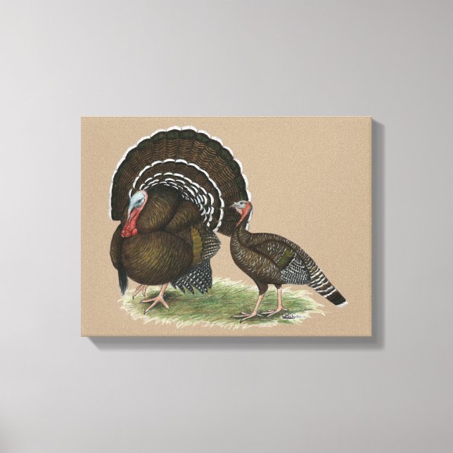 Toile Bronze standard de Turkey (Recto)