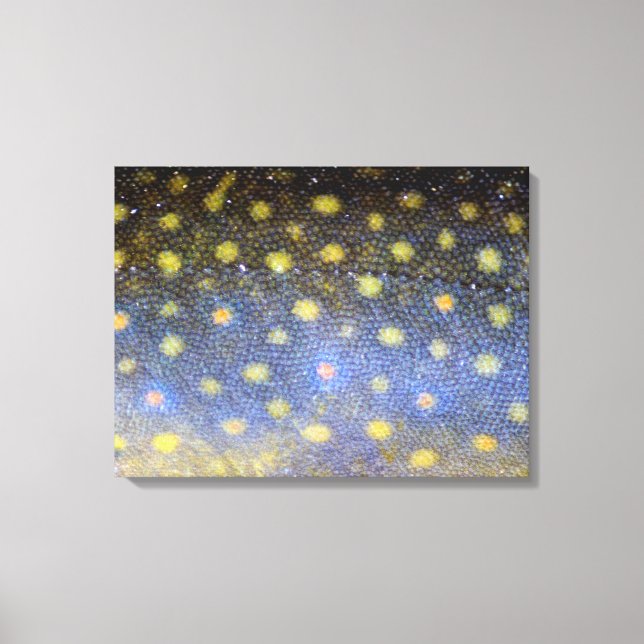 Toile Brook Trout Scales Photographie (Recto)