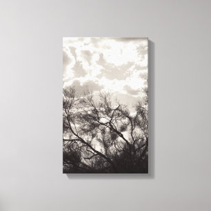 Toile Brosse Retard Sonoran Desert B&W Photo Art Imprime