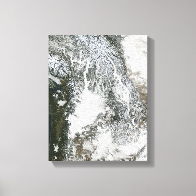 Toile Brouillard et neige dans le Pacifique Nord-Ouest ( (Recto)