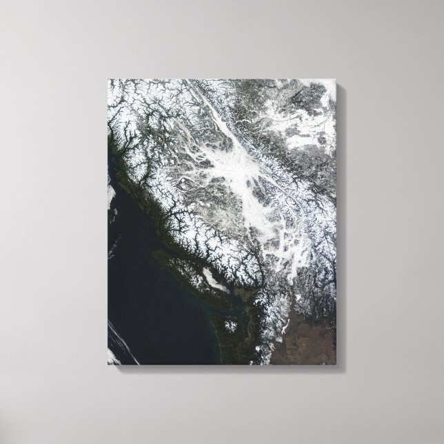 Toile Brouillard et neige en Colombie-Britannique (Recto)