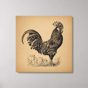 Toile Brown Antique Rooster Illustration Chicken Art