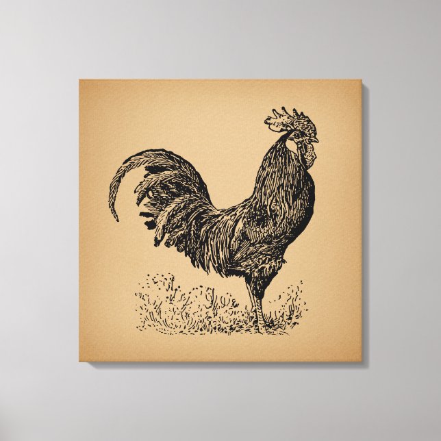 Toile Brown Antique Rooster Illustration Chicken Art (Recto)