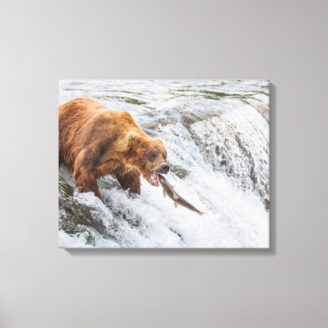 Toile Brown Bear Catches Red Salmon (Recto)