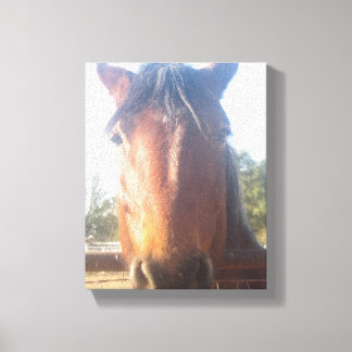 Toile Brown Horsey Love Canvas