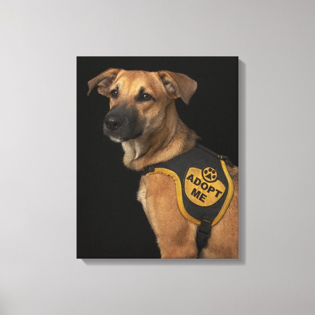 Toile Brown rescue dog with adopt vest (Recto)