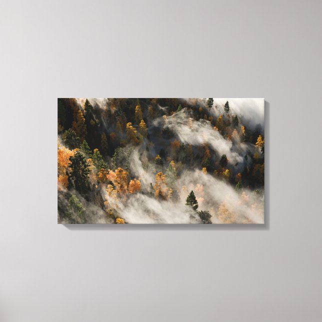Toile Brume matinale (Recto)