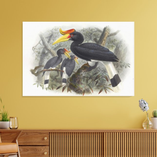 Toile Buceros rhinoceros (Insitu(Salon))