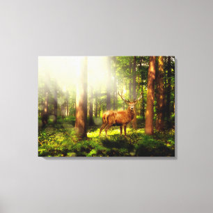 Toile Buck