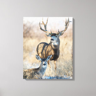 Toile Buck Couple Cerf mulet