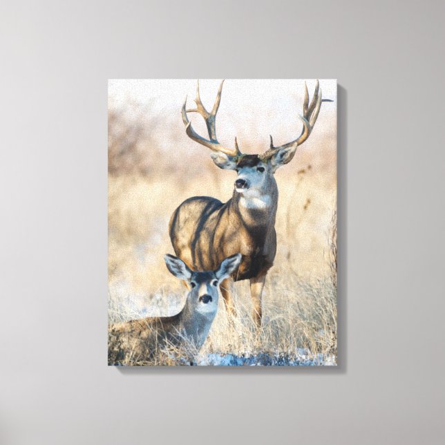 Toile Buck Couple | Mule Deer (Recto)