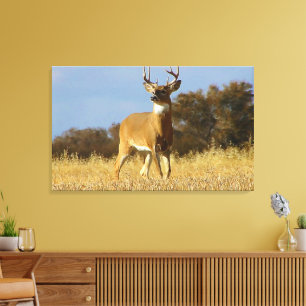 Toile Buck Whitetail