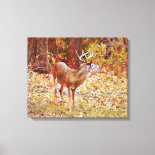Toile Buck Wild Deer in Woods Canvas Imprimer