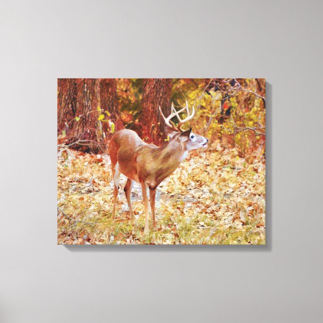 Toile Buck Wild Deer in Woods Canvas Imprimer (Recto)