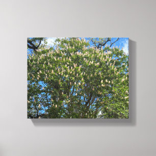 Toile Buckeye Sky