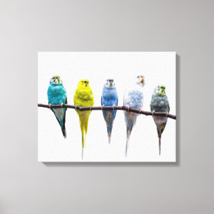 Toile Budgies