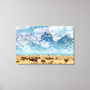 Toile Buffle sous les montagnes du Grand Teton