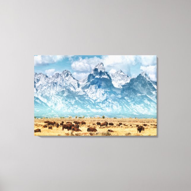 Toile Buffle sous les montagnes du Grand Teton (Recto)