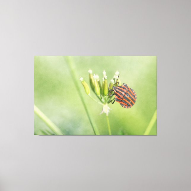 Toile Bug rouge - Une Bouteille supplémentaire ne fait p (Recto)