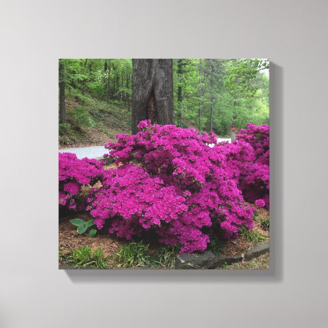 Toile Buissons pourpres de l'Azalée en fleurs (Recto)