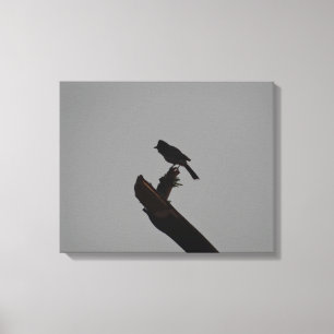 Toile Bulbul à ventre rouge en silhouette