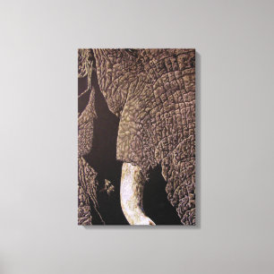Toile Bull Elephant