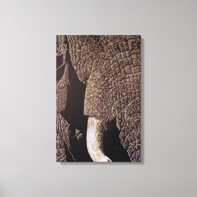 Toile Bull Elephant (Recto)