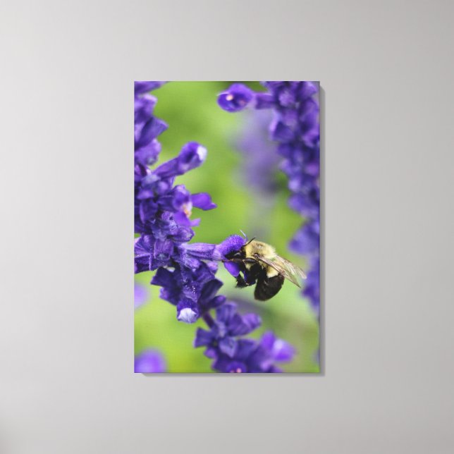 Toile Bumble Bee (Recto)