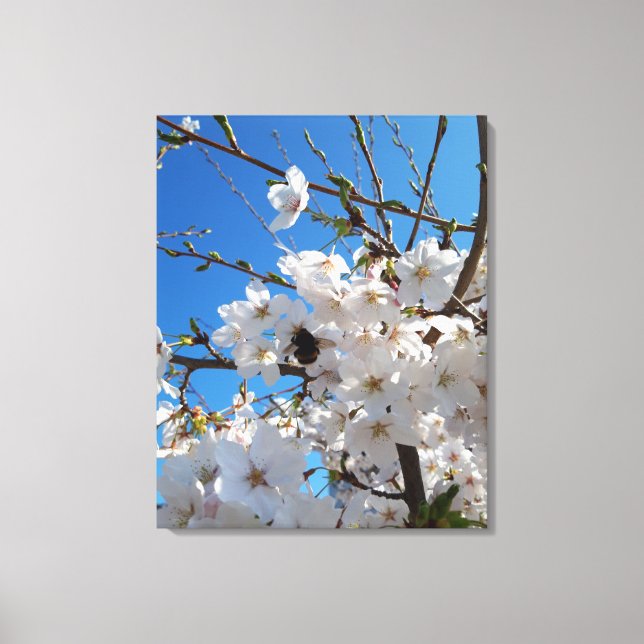 Toile Bumblebee sur la fleur de cerisier sauvage (Recto)