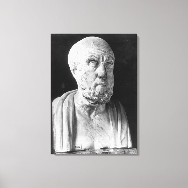 Toile Buste des Hippocrates (Recto)